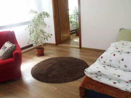 Apartament Apis
