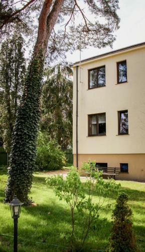 Dacza