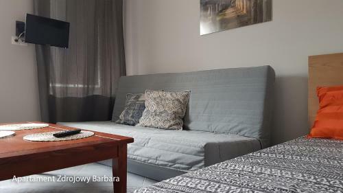 Apartamenty Zdrojowe