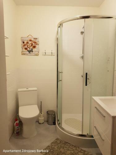 Apartamenty Zdrojowe
