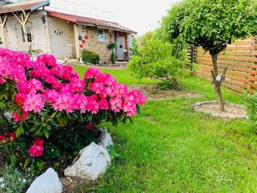 Apartament Rodzinny
