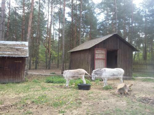 Apartamento Na Podlasiu