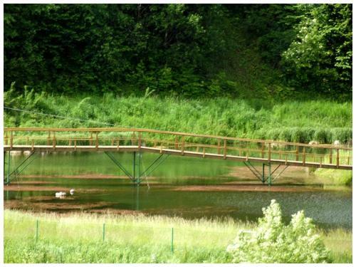 Agroturismo Wincent�wka - Realizujemy Bon Turystyczny