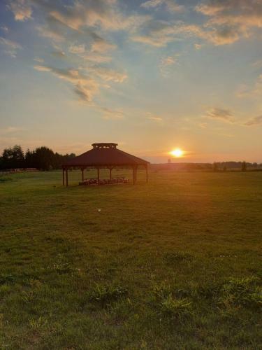 Bed & Breakfast Przystanek Czapla
