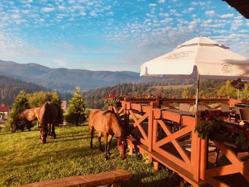 Bed & Breakfast Pod Brzozka