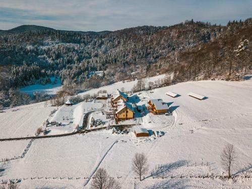 Bed & Breakfast Pod Brzozka