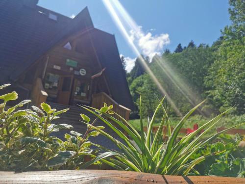 Albergue Bac�wka Pod Honem W Cisnej