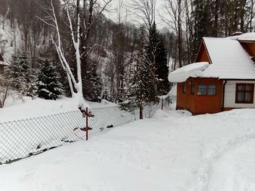 Lodge Zielone Bieszczady