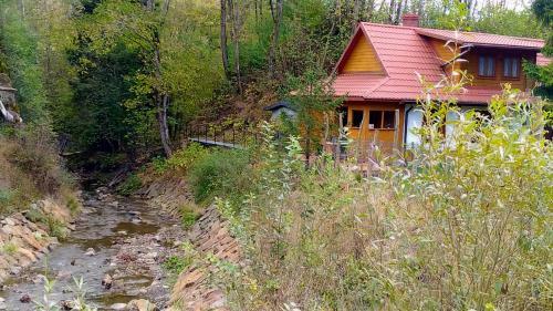 Lodge Zielone Bieszczady