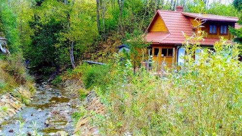 Lodge Zielone Bieszczady