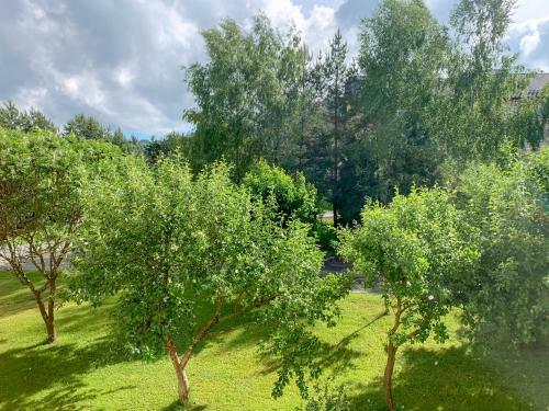 Mi?dzy G�rami. Apartament W Cisnej