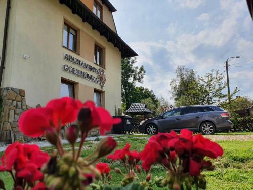 Agroturismo Apartamenty Go??bi�wka