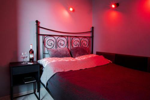 Apartament Stone - Czelad?
