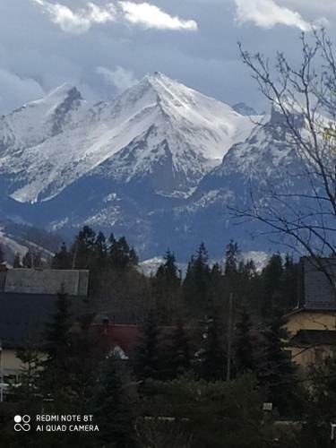 Apartament Widok