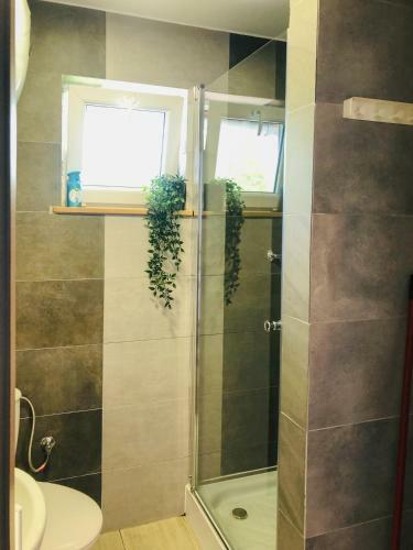 Apartamento Domki Turystyczne