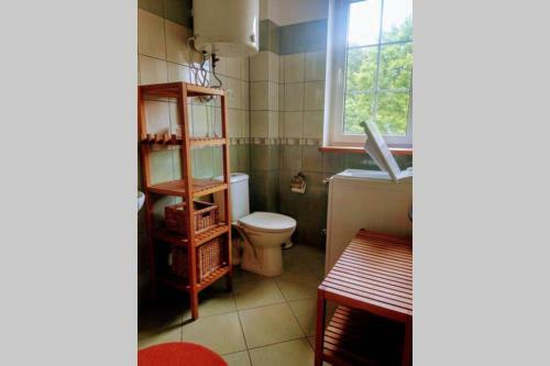 Apartament Dadaj 9
