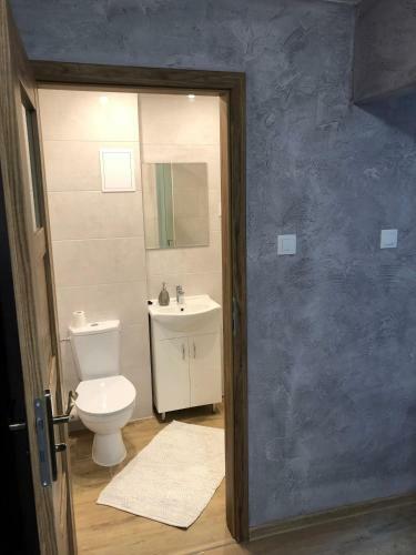 Apartament Dwa Pokoje D?blin