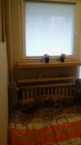 Apartament Zacisze 2 Big 4U