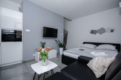Apartamenty Ap 12