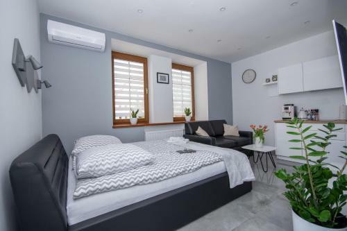 Apartamenty Ap 12