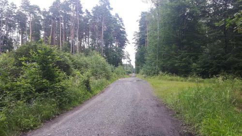 Lodge Winnica D?bog�ra