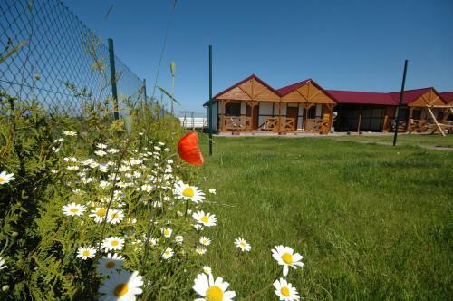 Lodge Domki Letniskowe