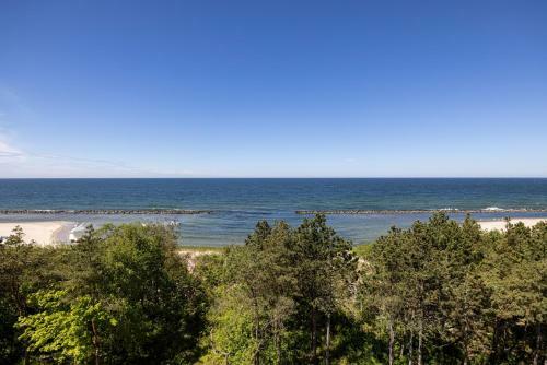 Apartamento Natural Dar?�wko