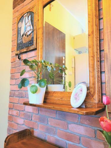 Apartament Laurowy
