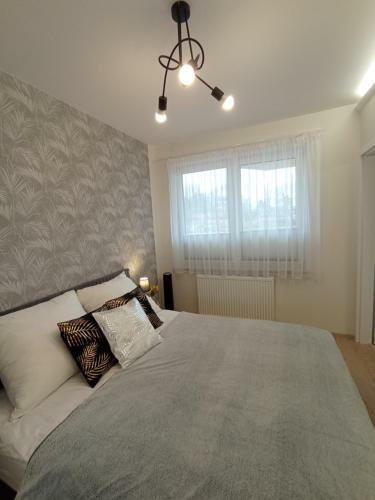 Apartament Primo Dar?�wko