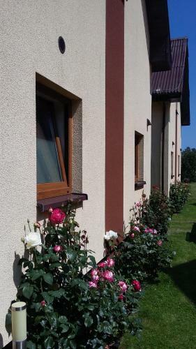 Lodge Milagro Baltico