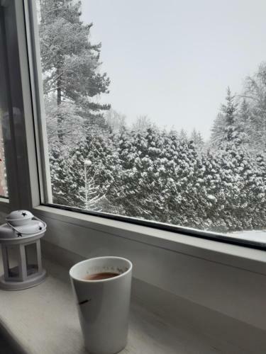 Apartman Bojana