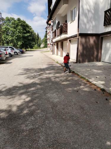 Apartman Bojana