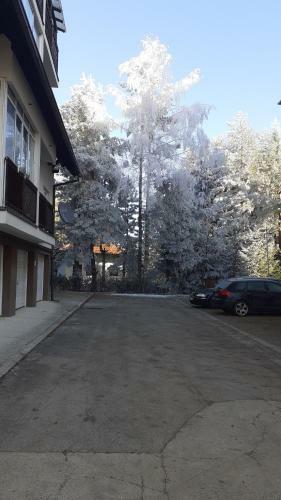 Apartman Bojana