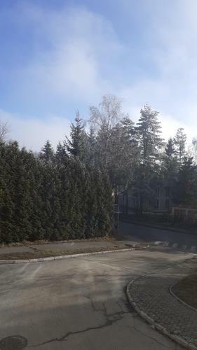 Apartman Bojana