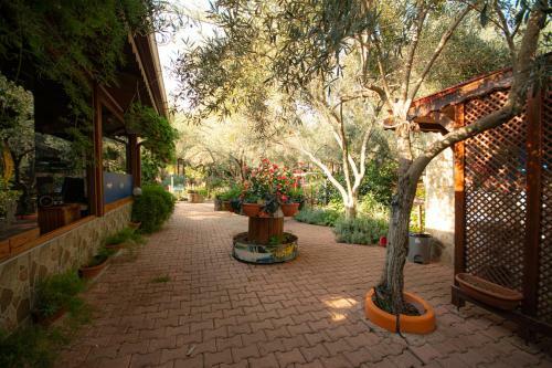 Bed & Breakfast Alpstar Camping & Restaurant