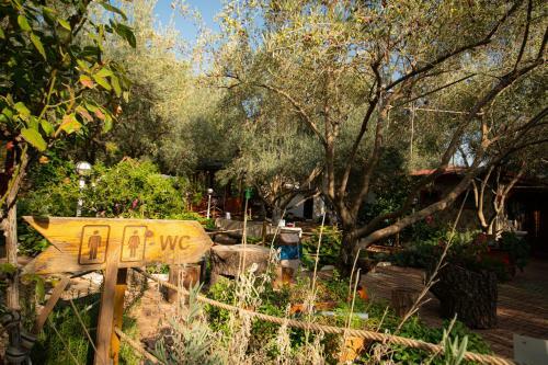 Bed & Breakfast Alpstar Camping & Restaurant