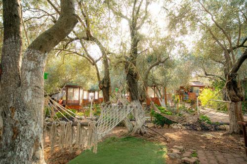 Bed & Breakfast Alpstar Camping & Restaurant