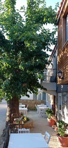 Bed & Breakfast Paparuna But?k Otel