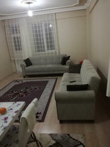 Haci Nevruz Apartlar?