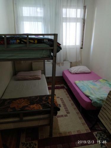Haci Nevruz Apartlar?