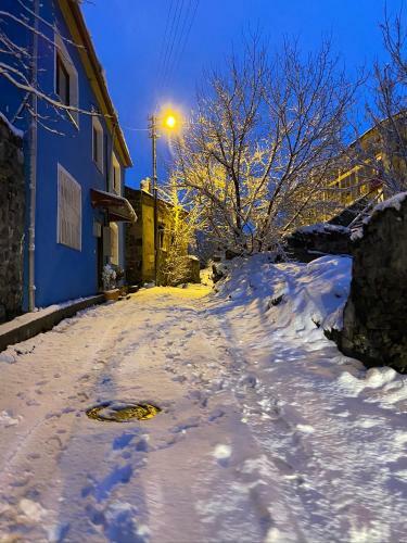 Apartamento Mavi Ladin Konukevi