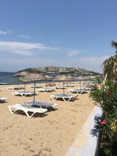 Sea And You Beachfront Apartments