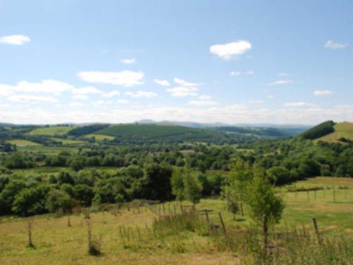 Field View