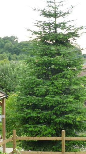 Apartamentos Hopewell Self-catering