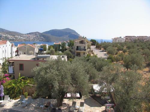 Pasha Apart Hotel