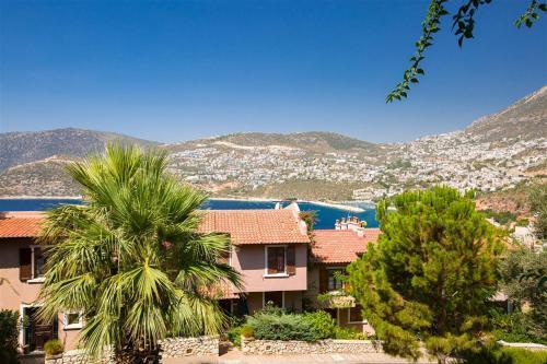 Apartamento Club Patara Cactus 61