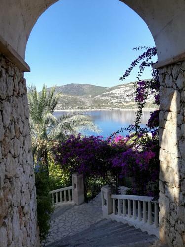 Sea View Bougainvillea 52