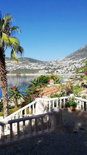 Sea View Bougainvillea 52