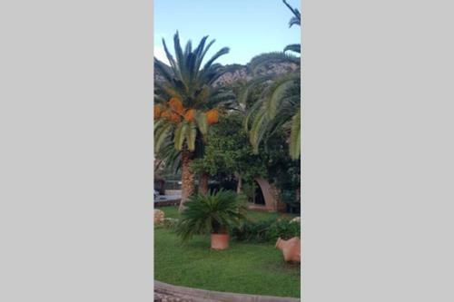 Apartamento Culup Patara