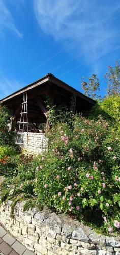 Agroturystyka Skalny Widok